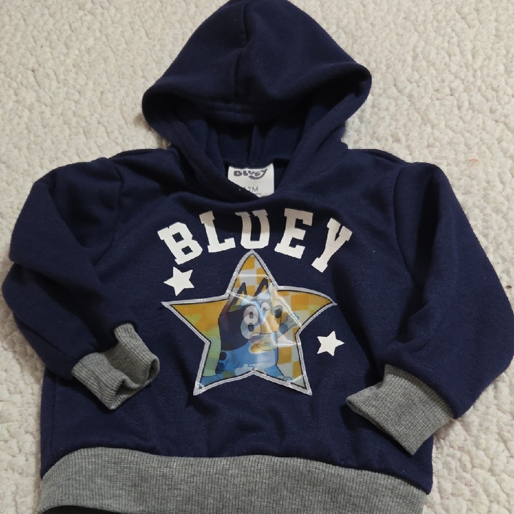 BLUEY HOODIE SWEATSHIRT